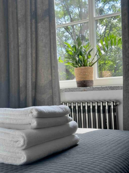 شقة Loft Industrialny Przy Bulwarze Staromiejskim فروتسواف المظهر الخارجي الصورة